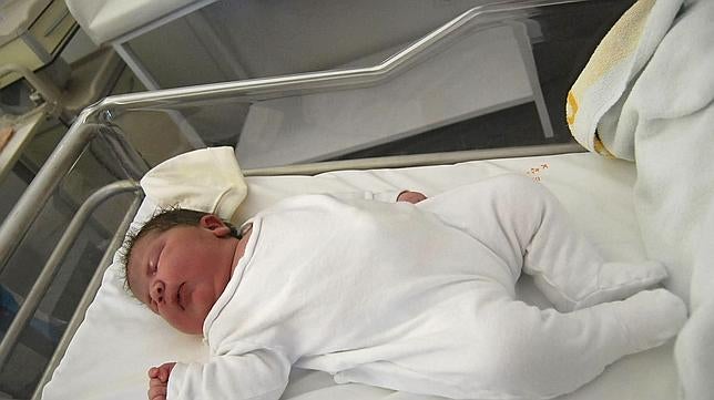 La reproducción sexual