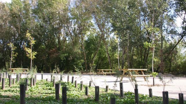 Arroyo estrena el Parque del Socayo