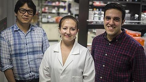 Neuronas obtenidas a partir de células de la piel abren una vía para tratar los trastornos del movimiento