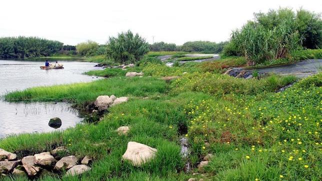 La toma de Cullera no remedia el problema ambiental que preocupa a la Unión Europea