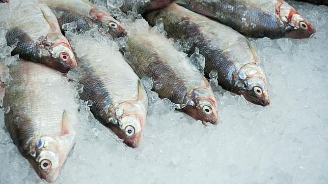 Cómo reconocer el pescado fresco