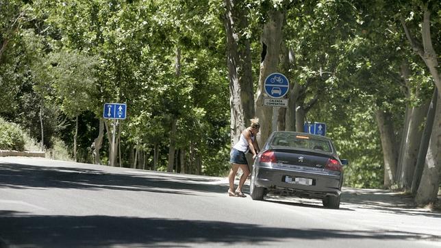 Parques y recintos apartados de la ciudad son lugares propicios para encontrar estos servicios sexuales