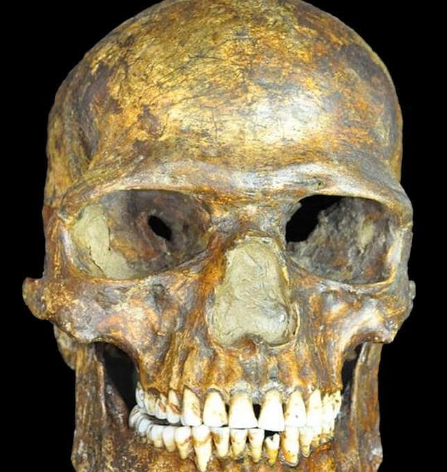 El cráneo del hombre de Kostenki