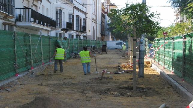 Plantan los nuevos árboles en la Vereda de Utrera