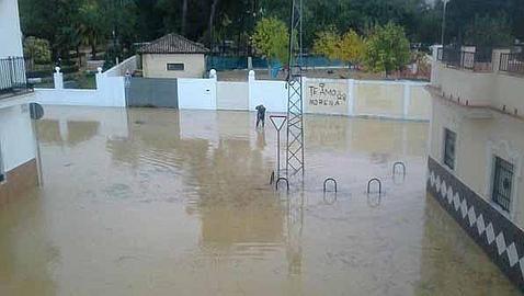 Las lluvias dejan 40 litros de agua por metro cuadrado en Utrera