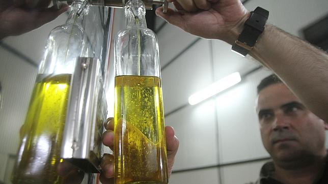 Aceite de oliva contra los dolores