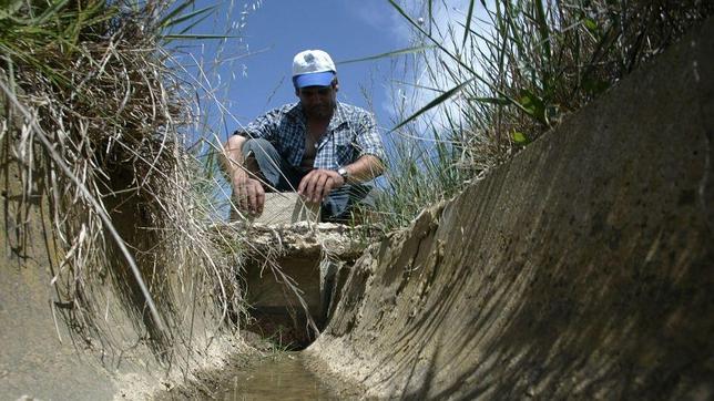 La contaminación amenaza a cientos de agricultores de Aragón con dejarles sin agua