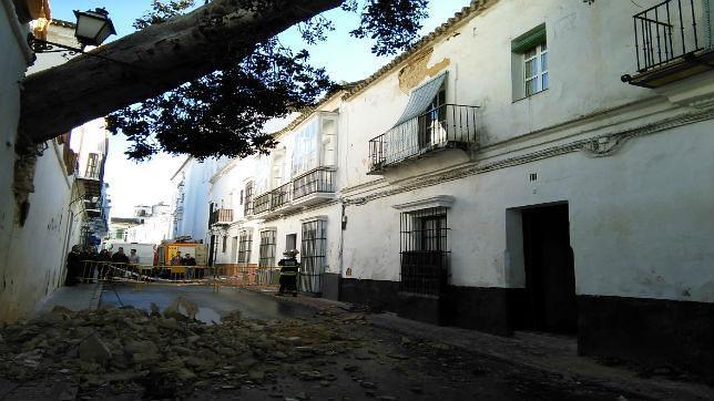 El viento derriba un ficus de quince metros en Sanlúcar