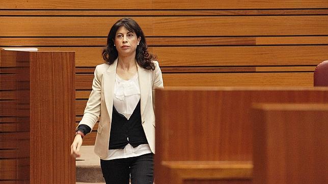 Ana Redondo preguntará a Herrera por la corrupción