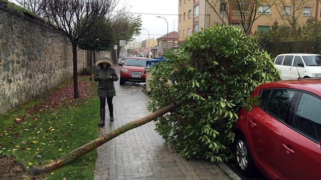 Las rachas de viento alcanzaron en Ávila los 100 kilómetros por hora