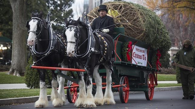 La Navidad llega a la Casa Blanca