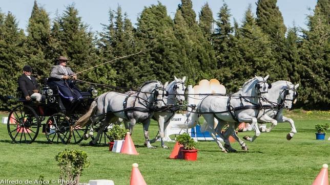 Más de 25 equipos participan en el I Campeonato de Enganches Indoor