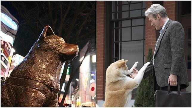 Hachiko, la historia del perro fiel que llegó al cine