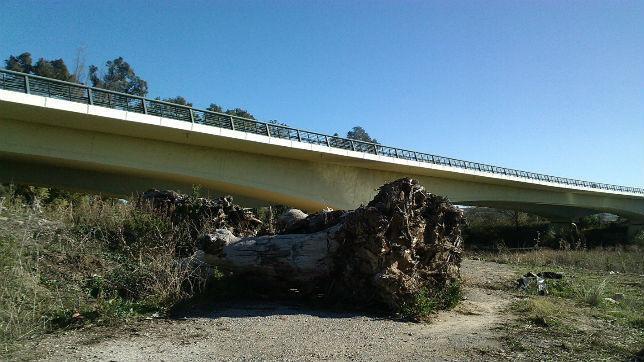 El PSOE reclama obras en la autopista A-4 por las riadas en Jerez