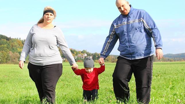 Demuestran que la obesidad se hereda durante generaciones