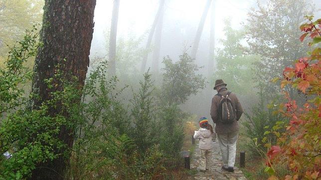 Un rincón del arboreto Luis Ceballos, en la sierra de Madrid