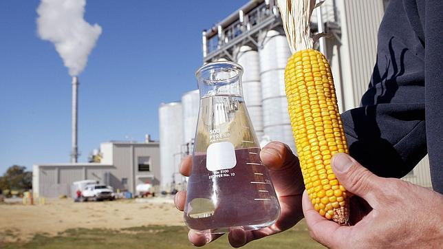 España debería triplicar su consumo de biocarburantes, advierte APPA