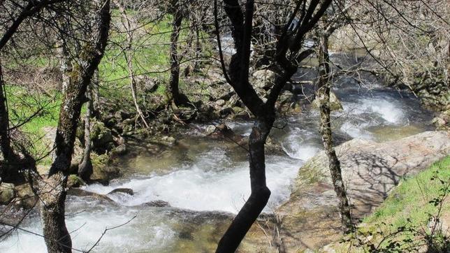 Un ejemplo de la belleza del camino hacia las Cascadas del Purgatorio