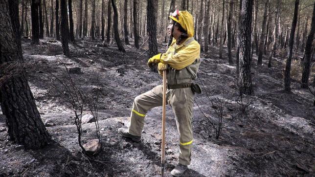 Un bombero trabaja en el incendio de Aleas