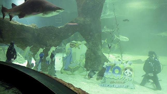 El tradicional Belén acuático del Zoo de Madrid