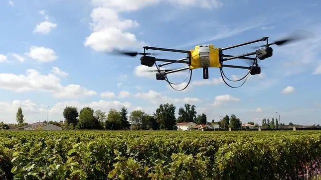 Un dron sobrevuela un viñedo en el castillo del Papa San Clemente al suroeste de Francia