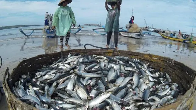 En 2012 la UE empezó a emitir "tarjetas amarillas" y a imponer sanciones a los estados acusados de no cumplir la normativa sobre pesca ilegal, no declarada y no notificada