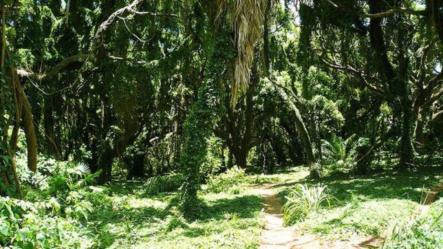 El acertijo del excursionista