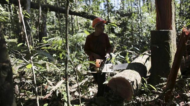 La deforestación en los trópicos afecta a los cultivos a miles de kilómetros de distancia