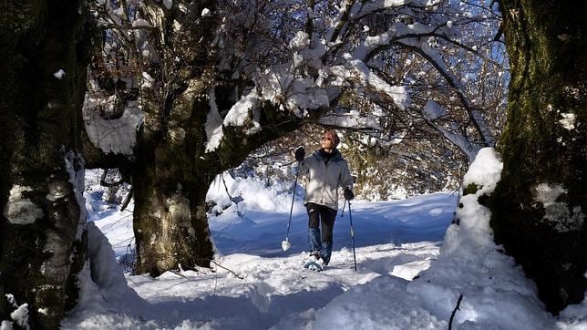 Raquetas de nieve en Navarra