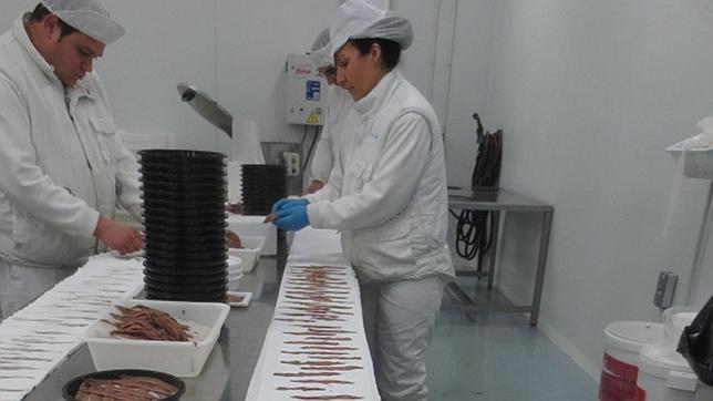 Teruel, una potencia en producción de anchoa pese a no tener mar