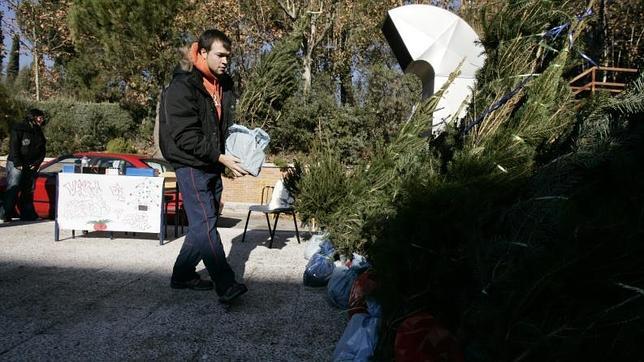 Comienza la campaña de recogida de árboles navideños en Madrid