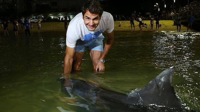 Los delfines salvajes australianos, el nuevo amuleto de la suerte de Roger Federer