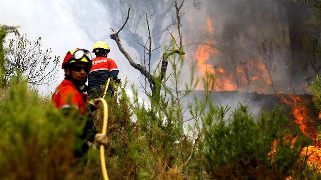 El Gobierno quiere evitar que se usen los incendios para impedir obras de interés general