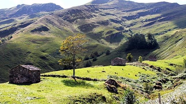 Repoblando el bosque arrasado por la Armada española