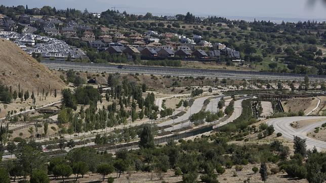 Parque de Felipe VI: Un bosque plantado por los vecinos