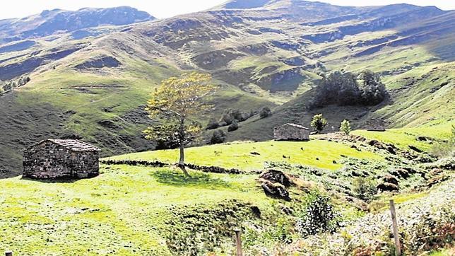 Nueva vida para la montaña pasiega