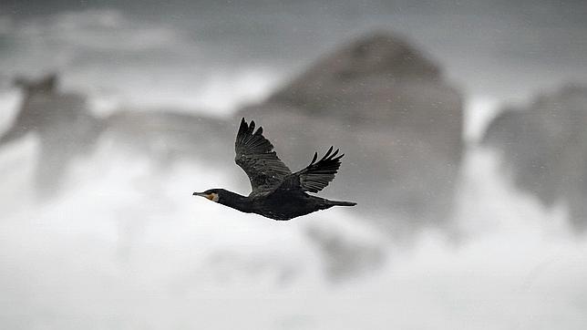 El temporal deja rachas de viento de 130 km/h y olas de 8 metros