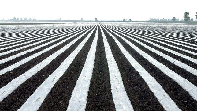 La reforma tributaria alivia la presión fiscal de los agricultores