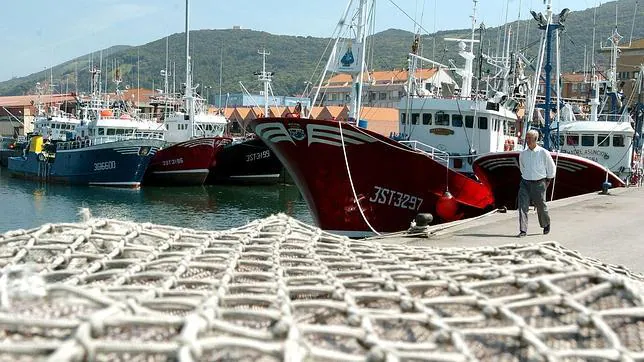 Los ministros de Pesca de la UE han tomado la decisión, que aplauden las ONGs, tras meses de debate