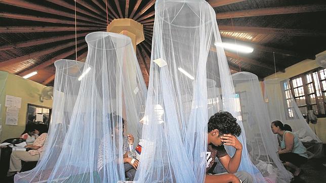 Pacientes con fiebres por dengue descansan, protegidos por mosquiteras, en Tegucigalpa