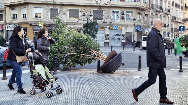 Temporal: el viento tumba un árbol en Valencia y provoca un centenar de incidentes