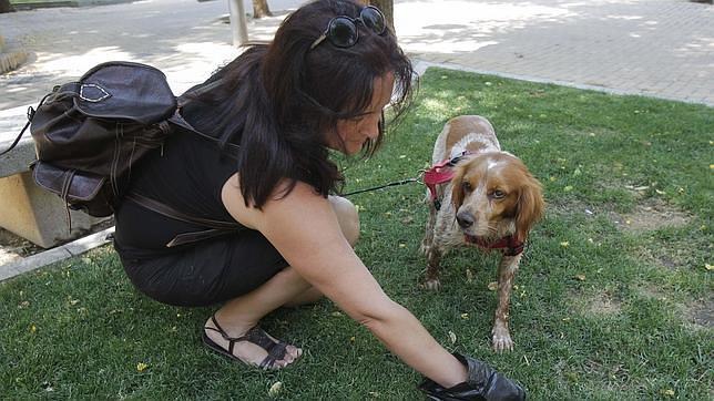 Alcoy prohíbe la entrada de animales en los parques infantiles