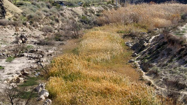 De la crecida del Ebro al «desierto» alicantino: las fotos de la «guerra» del agua