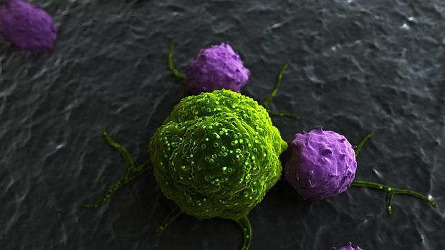 Imagen al microscopio de unas células tumorales