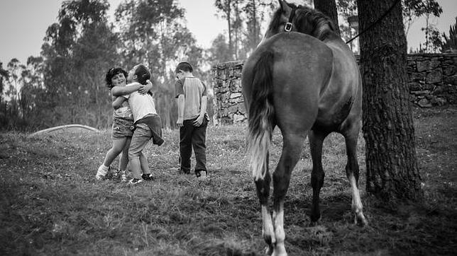 Solución: No es amor fraternal, pero parecido...¿Puedes resolver la adivinanza?