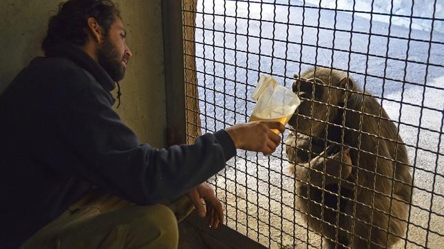 Caldo caliente para combatir el frío en los animales del Bioparc