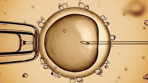 La nueva técnica requiere extraer el núcleo del óvulo de la madre e introducirlo en el óvulo de otra mujer (ABC)