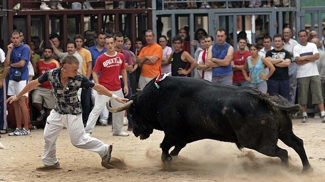 Récord histórico de los bous al carrer con 7.866 festejos