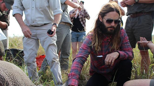 Jared Leto, nuevo embajador de WWF