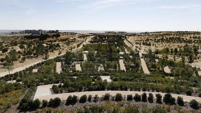 Un bosque hecho por los madrileños para Valdebebas